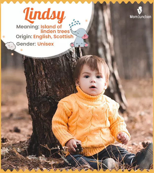 lindsy: Name Meaning, Origin, History, And Popularity_image