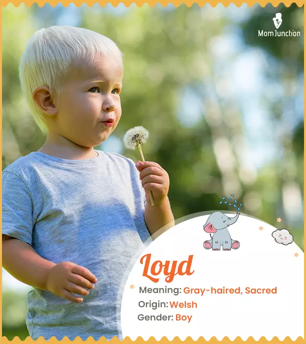 Loyd Name Meaning, Origin, History, And Popularity_image