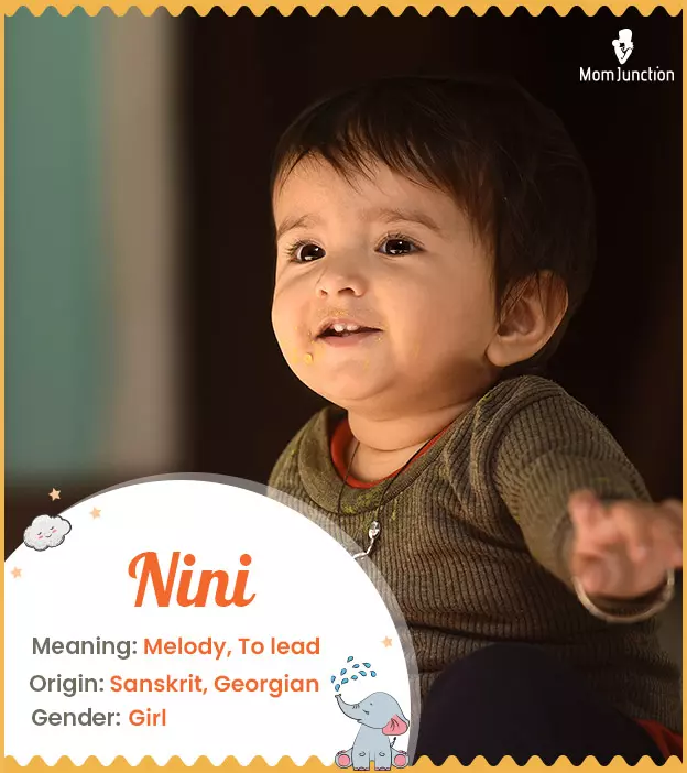 Nini Name Meaning, Origin, History, And Popularity_image