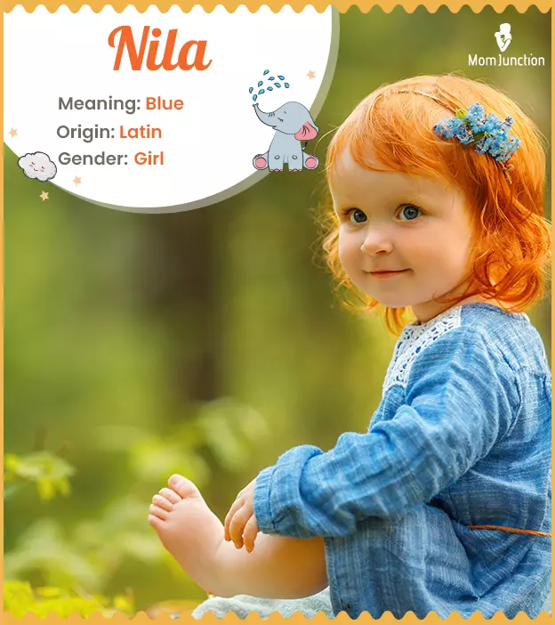 Nila: Name Meaning, Origin, History, And Popularity_image