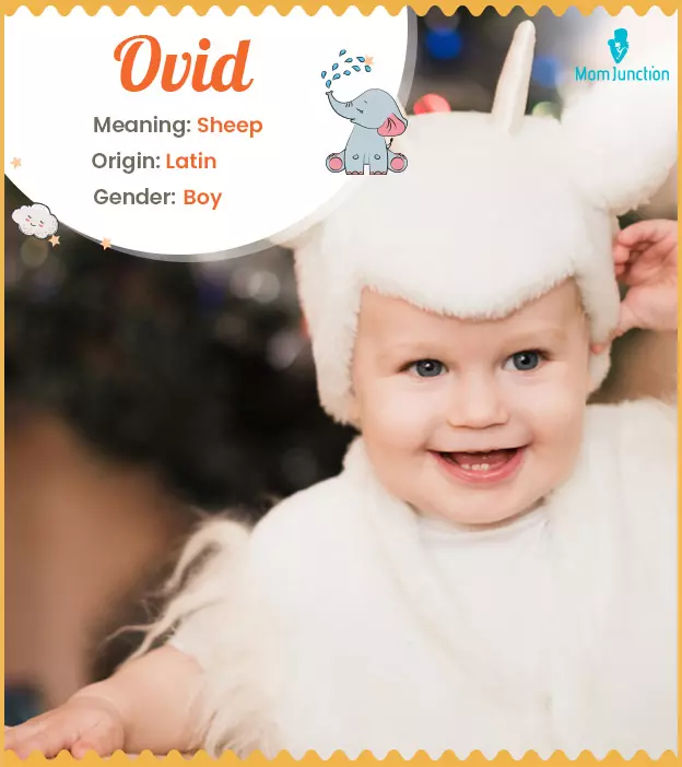 Ovid Name, Meaning, Origin, History, And Popularity_image