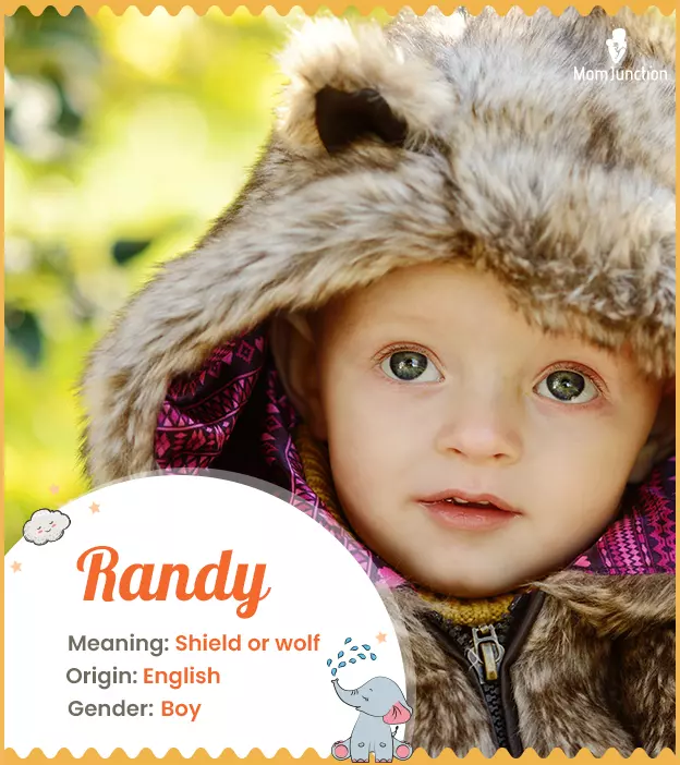 Randy: Name Meaning, Origin, History, And Popularity_image