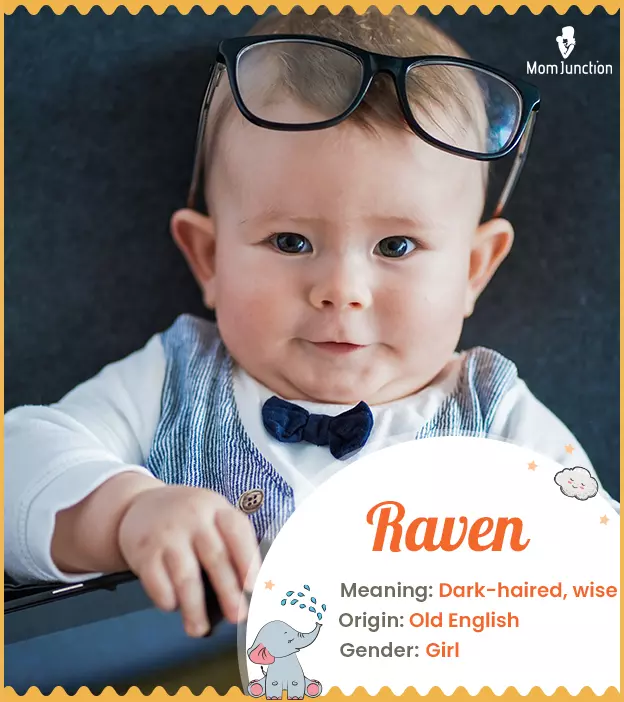 Raven: Name Meaning, Origin, History, And Popularity_image