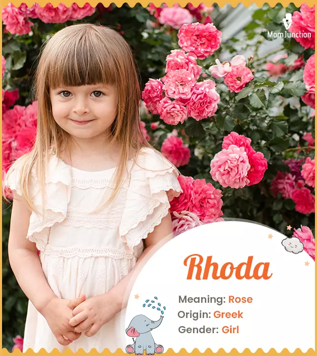 Rhoda Name Meaning, Origin, History, And Popularity_image