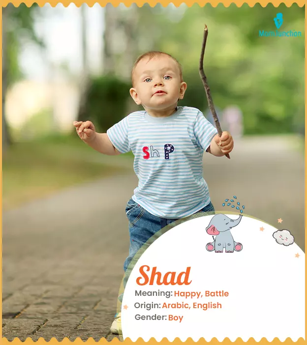 Explore Shad: Meaning, Origin & Popularity_image