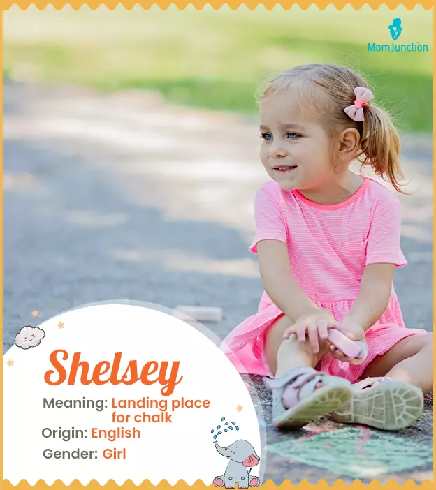 Explore Shelsey: Meaning, Origin & Popularity_image