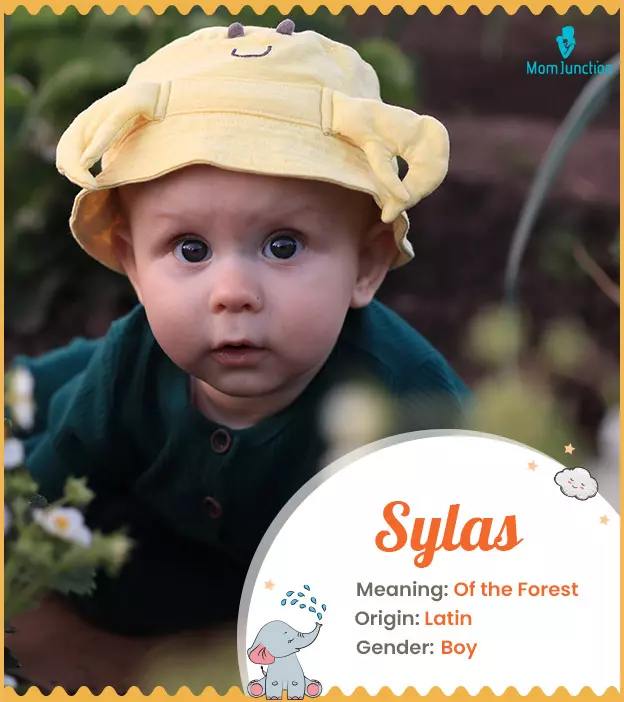 sylas: Name Meaning, Origin, History, And Popularity_image