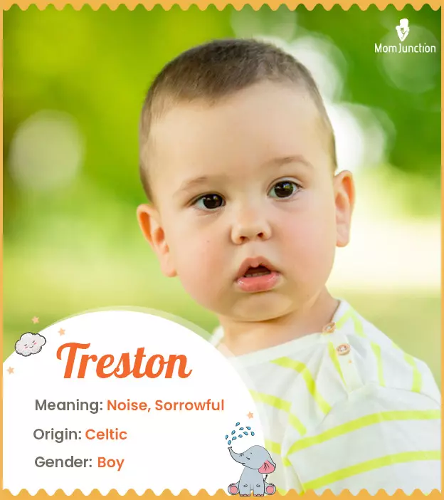 Treston Name, Meaning, Origin, History, And Popularity_image