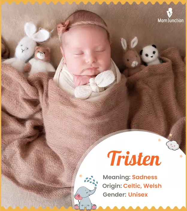 Tristen Name, Meaning, Origin, History, And Popularity_image