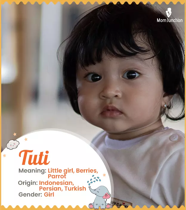 Tuti Name Meaning, Origin, History, And Popularity_image