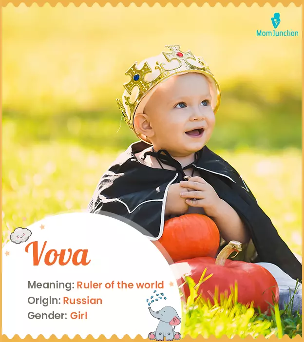 Vova Name, Meaning, Origin, History And Popularity_image