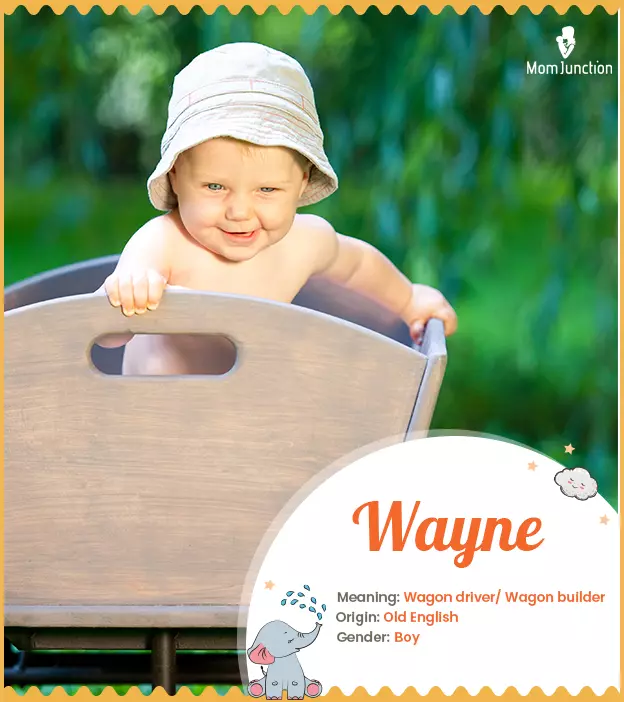 Wayne Name, Meaning, Origin, History, And Popularity_image