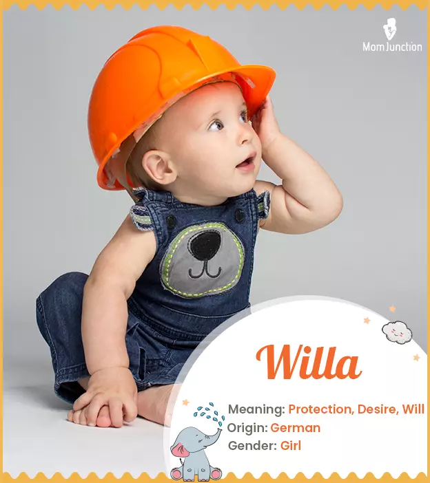 Willa Name, Meaning, Origin, History, And Popularity_image