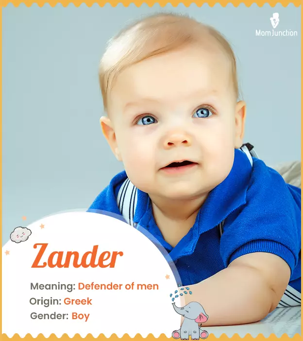 Zander Name Meaning, Origin, History, and Popularity_image