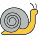 snail, spiral, winkle, creature, shell, wildlife, slow