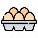 egg, carton, eggs, food, organic, tray, box