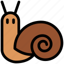 insect, snail, shell, animal, slow