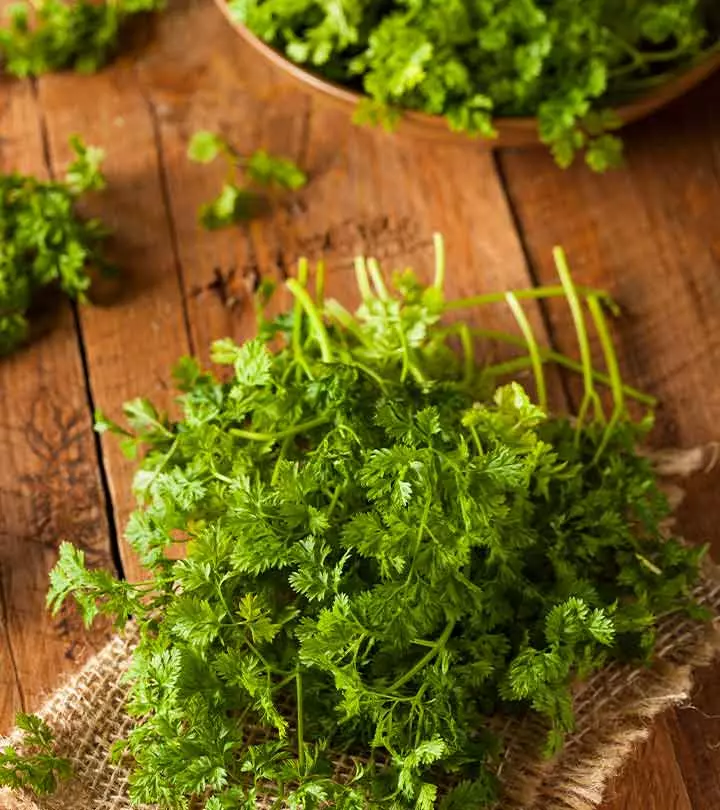 The healing properties of this aromatic herb can rejuvenate your body and keep you healthy.