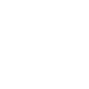 FEIN Discord Emoji