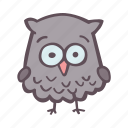 owl, bird, animal