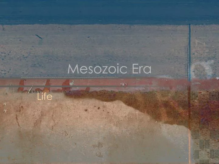 mesozoic era