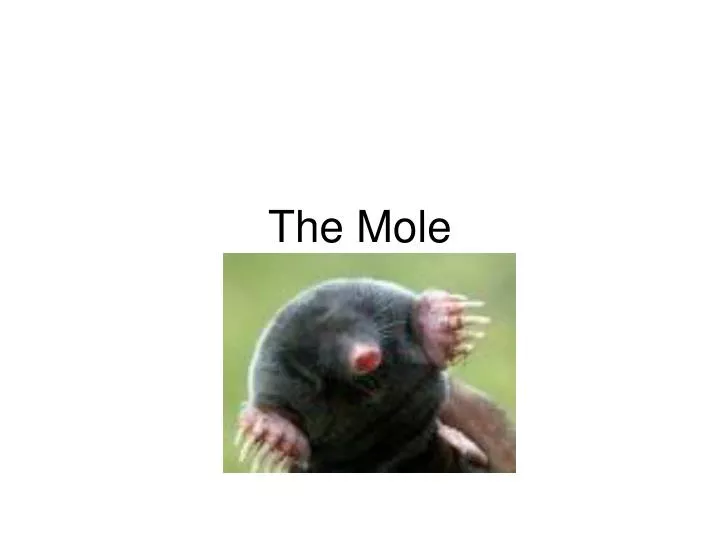 the mole