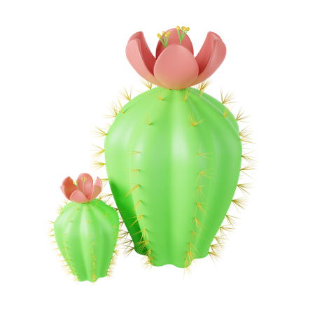 Cacto  3D Illustration