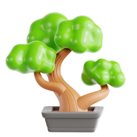 Bonsai  3D Icon