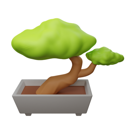 Bonzai  3D Icon