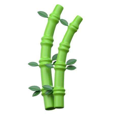 Bamboo  3D Icon