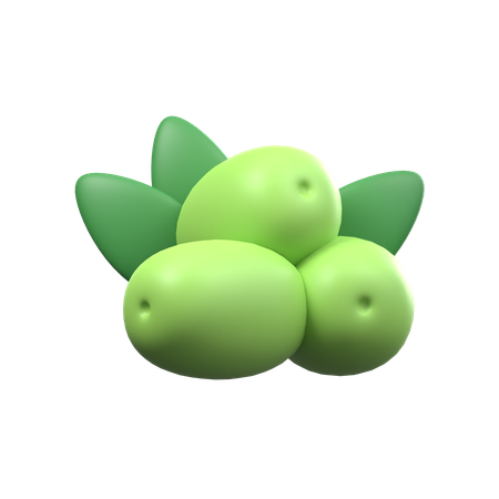 Olive  3D Icon