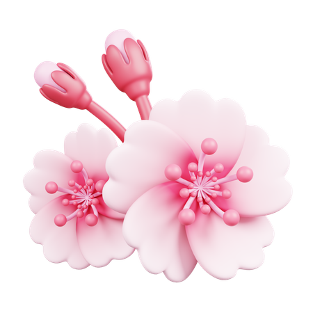 Sakura  3D Icon