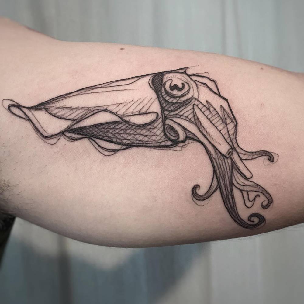 Sketch work squid tattoo done on the inner arm.