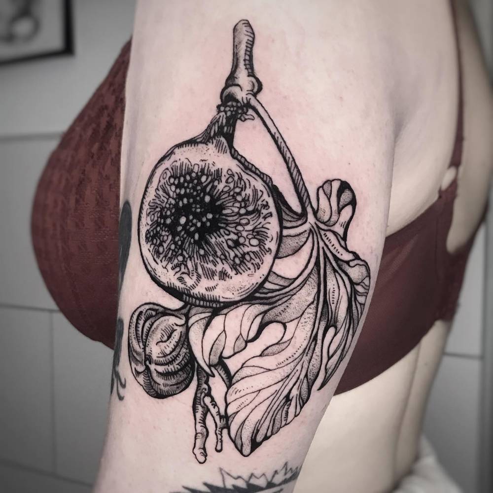 Fig tattoo located on the upper arm, blackwork style.