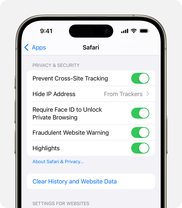 n iPhone displaying the Safari settings. At the bottom of the Privacy & Security section, there is a Clear History and Website Data button.