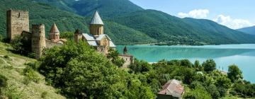 Chalets de montaña en Georgia