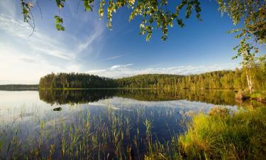 Case per le vacanze in Finlandia