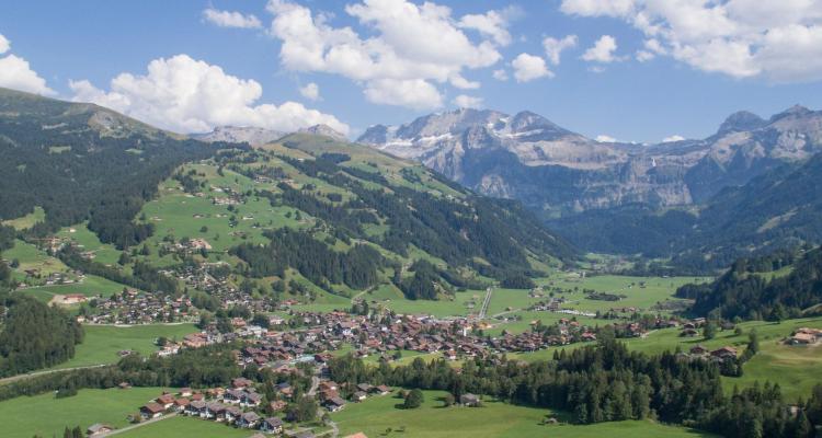 Lenk