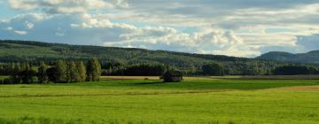 Hotellit, joissa on pysäköintimahdollisuus kohteessa Insjön