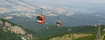 Rental Liburan di Borovets