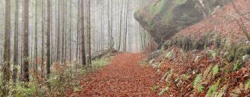 Aluguéis de Temporada em Weiz