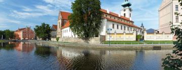 Casas de Hóspedes em České Budějovice