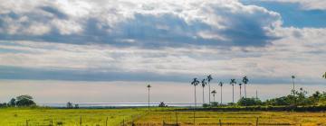 Casas de praia em Taitung City