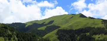 Vandrehjem i Longjing