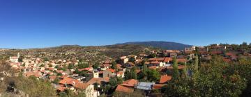 Country Houses in Lofou