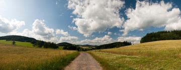 Allotjaments vacacionals a Uherské Hradiště