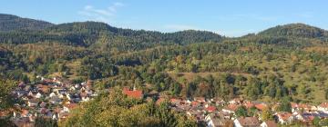 Hoteluri cu parcare în Gaggenau