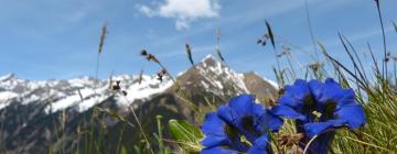 Viešbučiai mieste Obergurgl