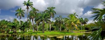 Hotel a Miami Gardens