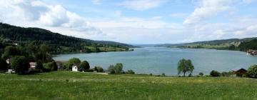 Hotels a Clairvaux-les-Lacs